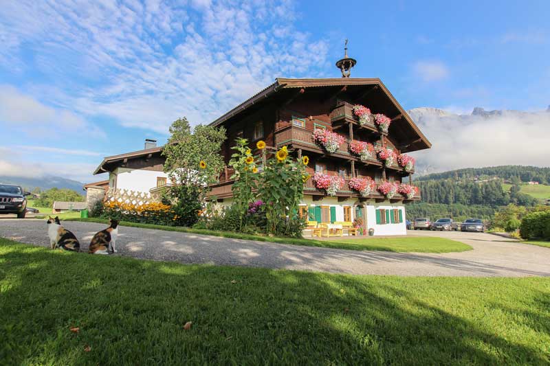 Ferienbauernhof Leogang Sommer 3940